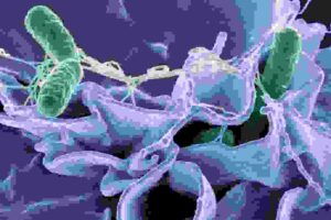 Alt description of the image is required for accessibility